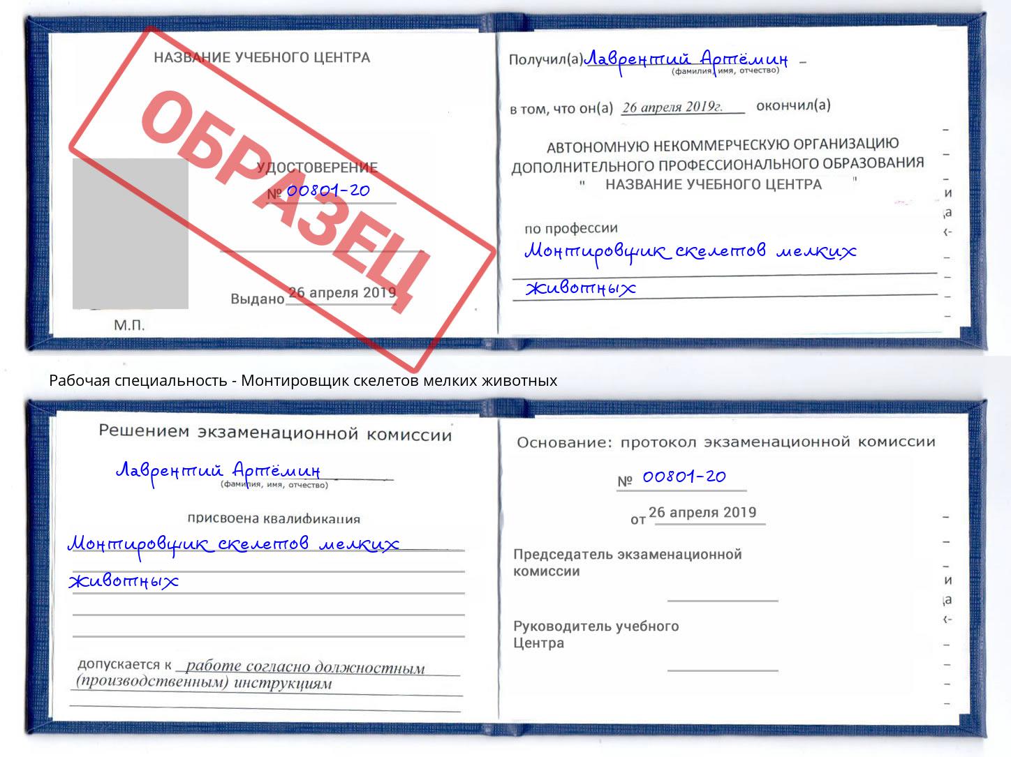 Монтировщик скелетов мелких животных Белогорск