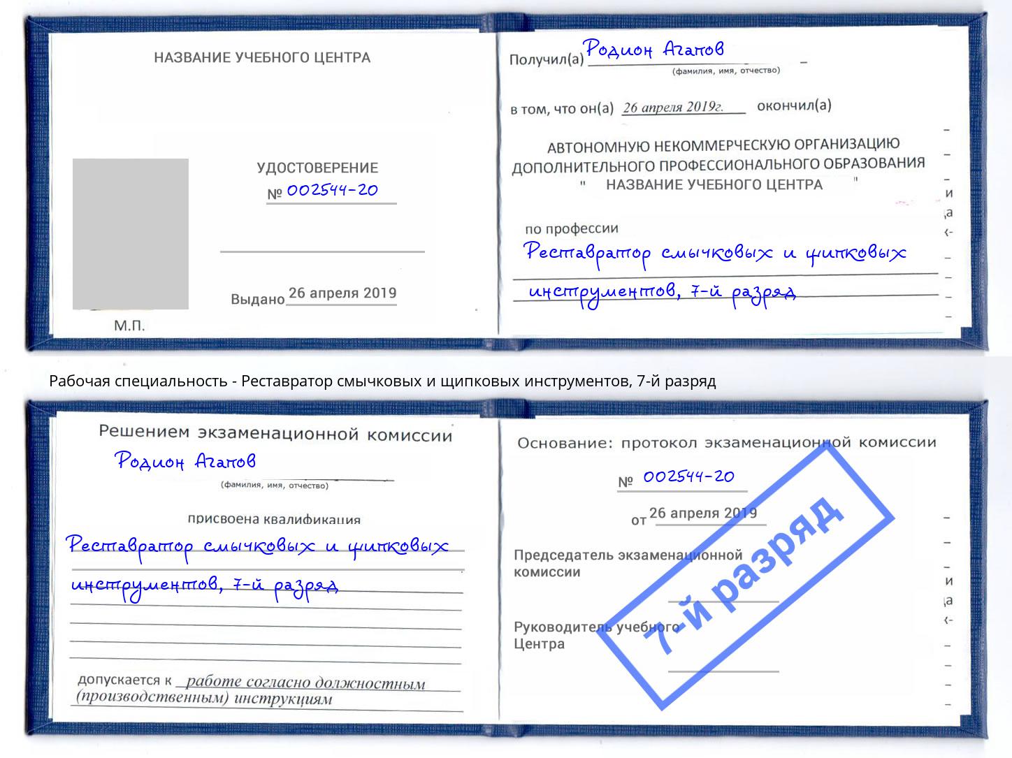 корочка 7-й разряд Реставратор смычковых и щипковых инструментов Белогорск